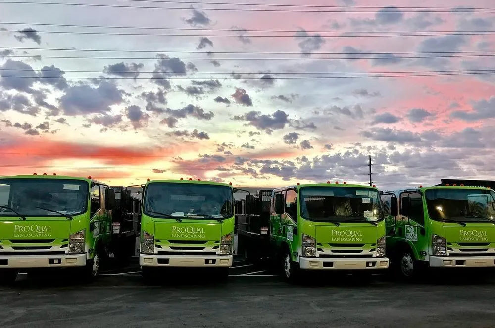 Reliable lawn care service in Tempe, AZ - ProQual Landscaping