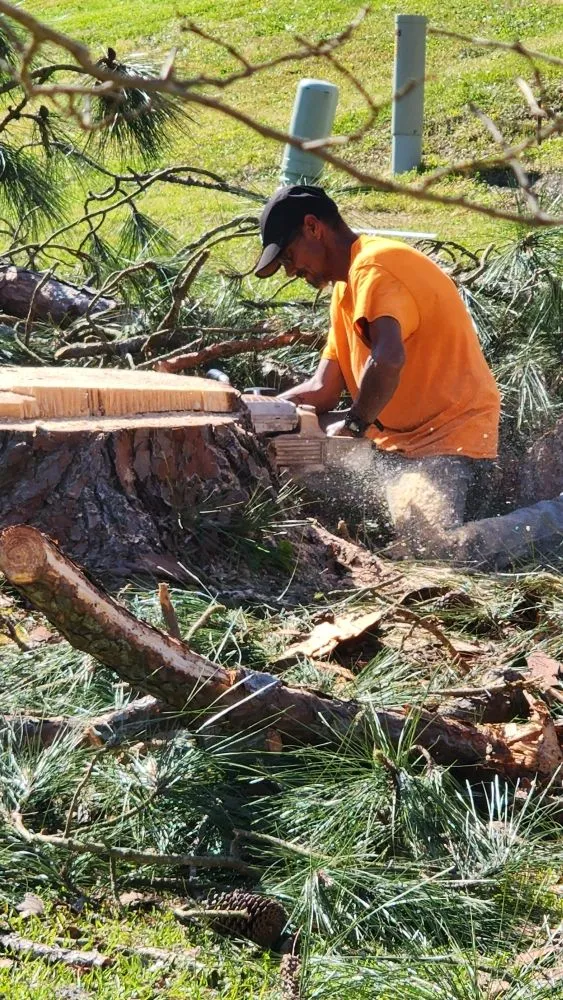 Custom garden landscaping experts serving Jacksonville, NC - Pros & Cons Landscaping