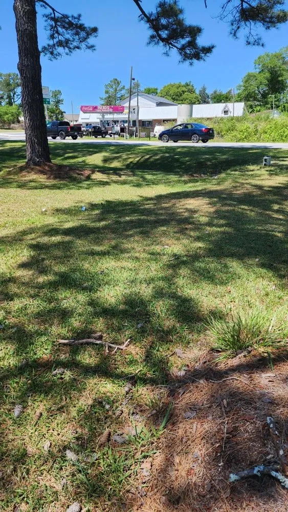 Expert yard maintenance near you across Jacksonville, NC - Pros & Cons Landscaping