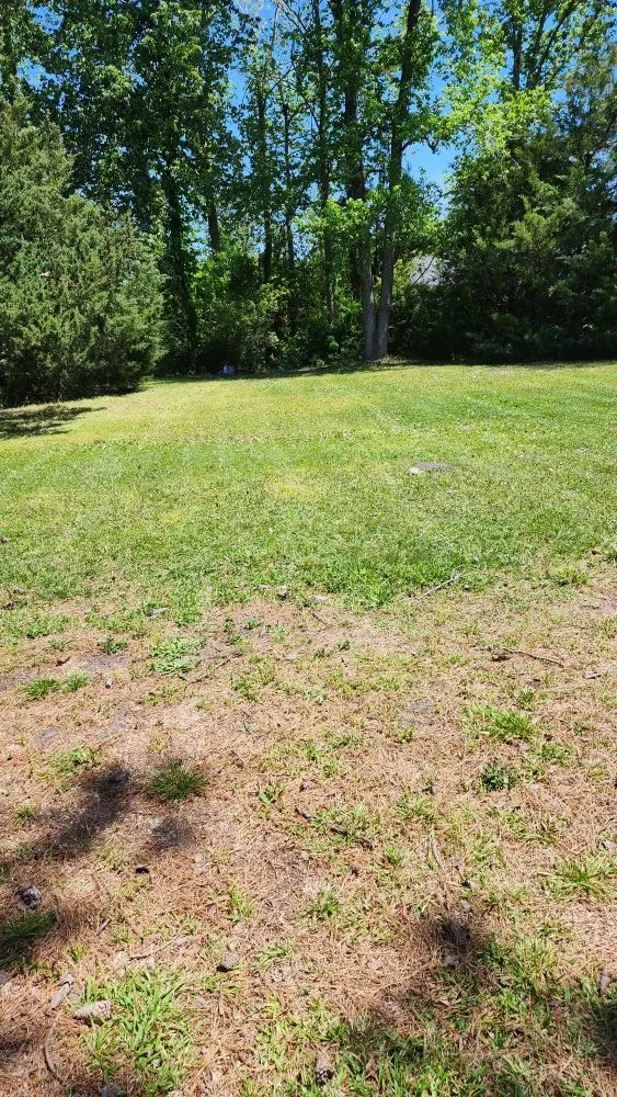 Affordable landscape installation in Jacksonville, NC - Pros & Cons Landscaping