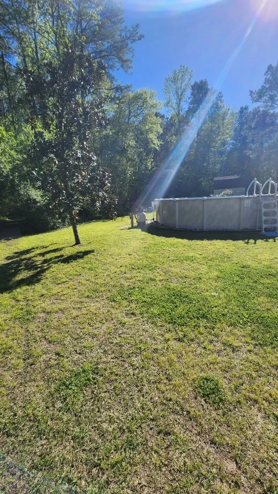 Expert yard maintenance in Jacksonville, NC - Pros & Cons Landscaping