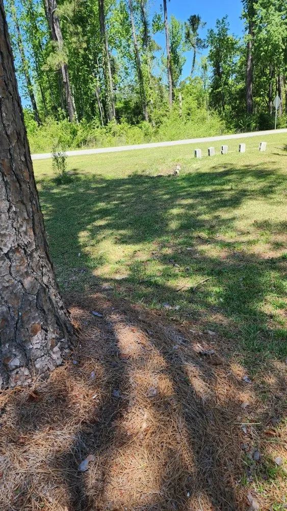 Local residential landscaping in Jacksonville, NC - Pros & Cons Landscaping