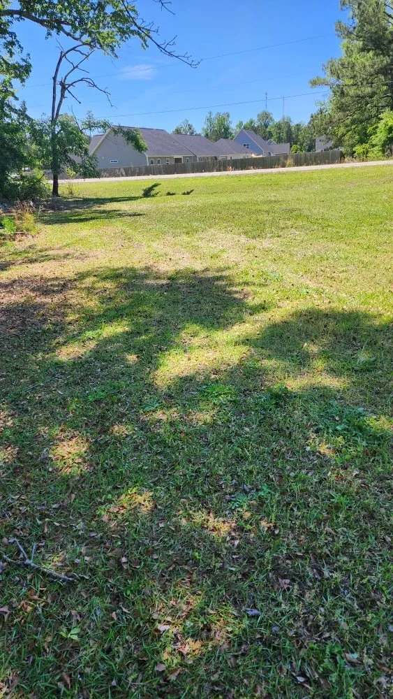 Expert residential landscaping in Jacksonville, NC by Pros & Cons Landscaping