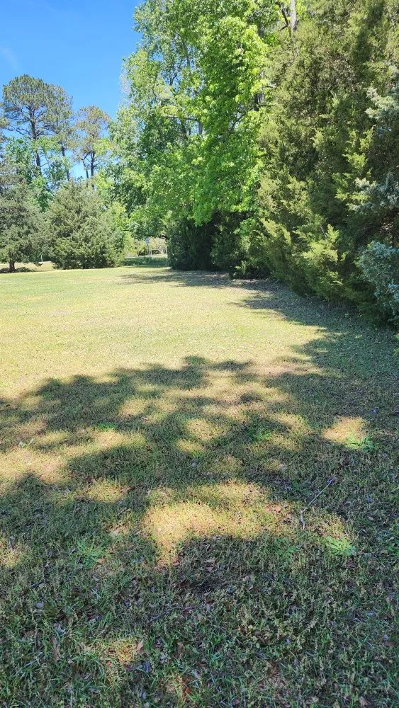 Local garden landscaping in Jacksonville, NC - Pros & Cons Landscaping