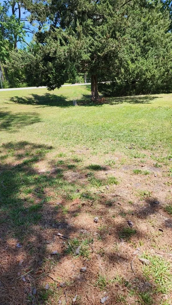 Local landscape installation experts serving Jacksonville, NC - Pros & Cons Landscaping