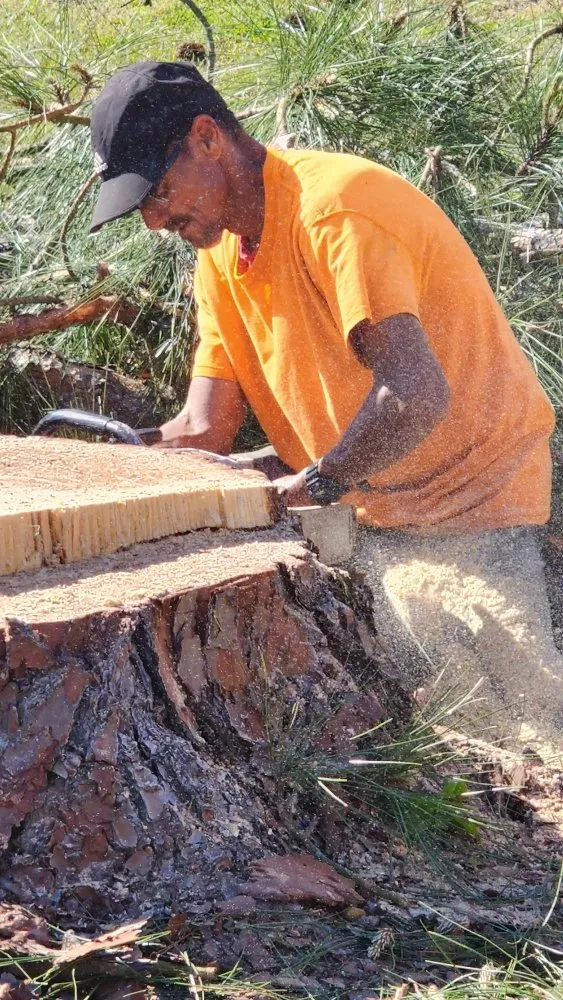 Local landscaping services in Jacksonville, NC by Pros & Cons Landscaping