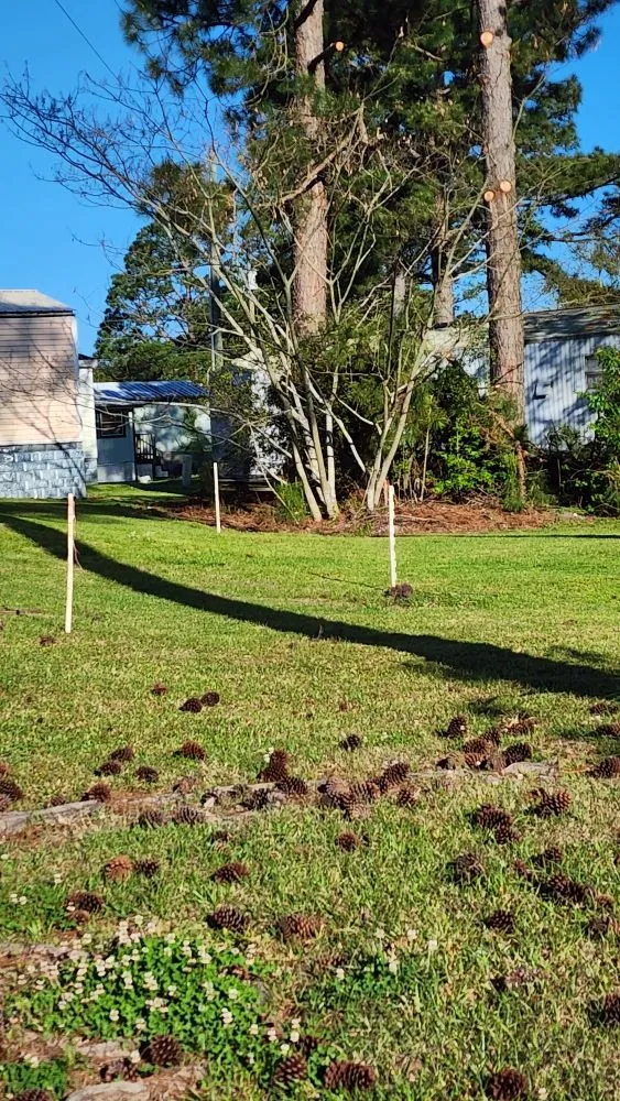 Trusted garden landscaping in Jacksonville, NC by Pros & Cons Landscaping