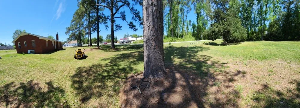 Professional garden landscaping in Jacksonville, NC - Pros & Cons Landscaping