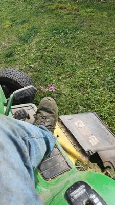 Pros & Cons Landscaping Logo