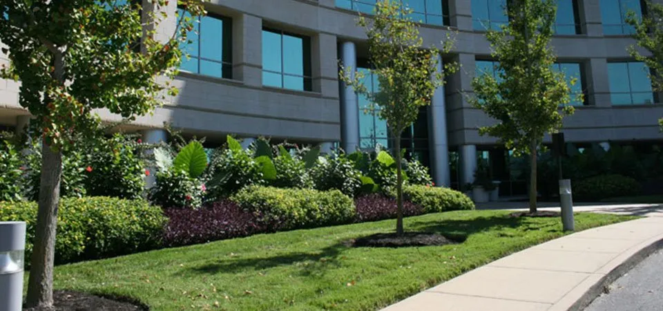 Trusted outdoor landscaping for year-round maintenance in Granada Hills, CA by Pros Gardening Services