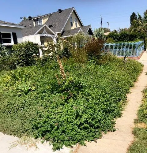 Expert garden landscaping for homes across Granada Hills, CA - Pros Gardening Services