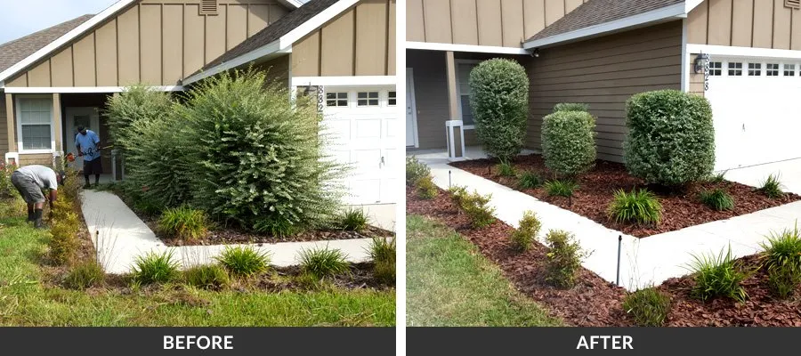 Custom landscape installation in Granada Hills, CA - Pros Gardening Services
