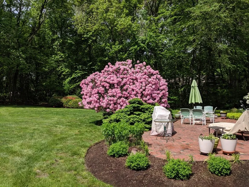 Custom outdoor landscaping near you in Granada Hills, CA by Pros Gardening Services