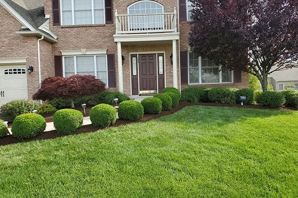 Trusted yard cleanup service in Granada Hills, CA by Pros Gardening Services