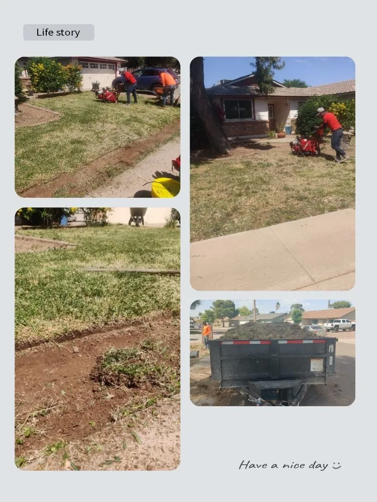 Top-rated landscape design for residential properties across Mesa, AZ - Pros Hardscape & Tree Sod