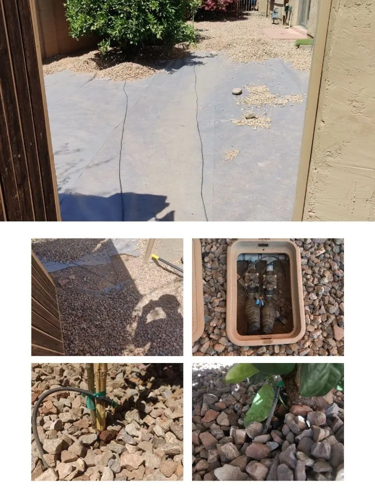 Top-rated landscape design for homes in Mesa, AZ by Pros Hardscape & Tree Sod