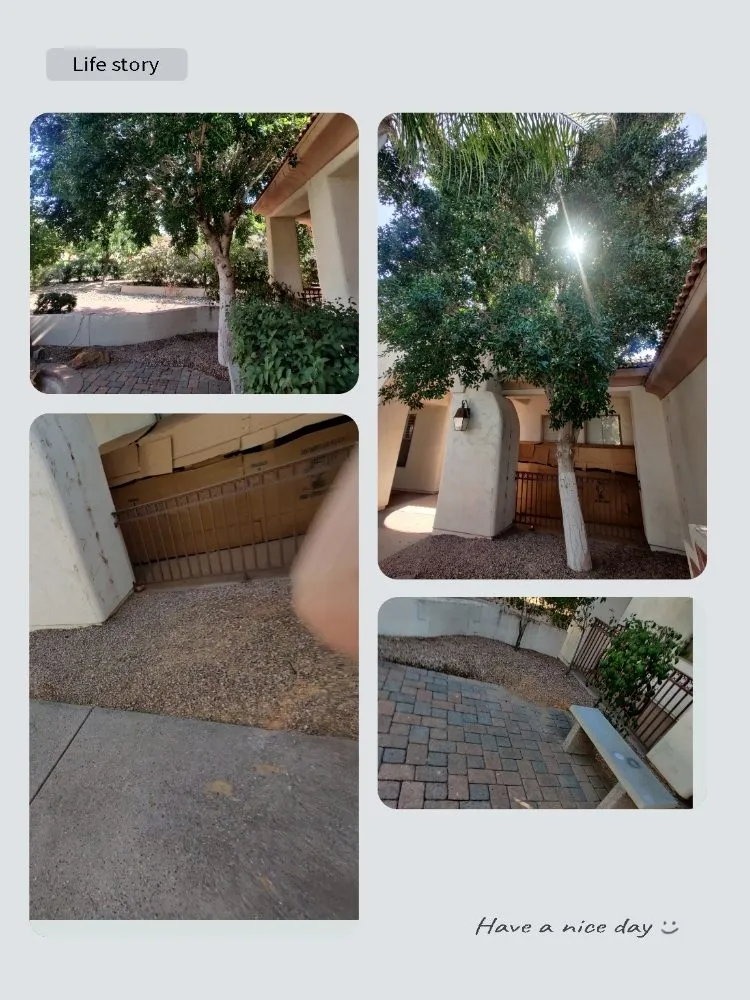 Professional outdoor landscaping experts serving Mesa, AZ - Pros Hardscape & Tree Sod