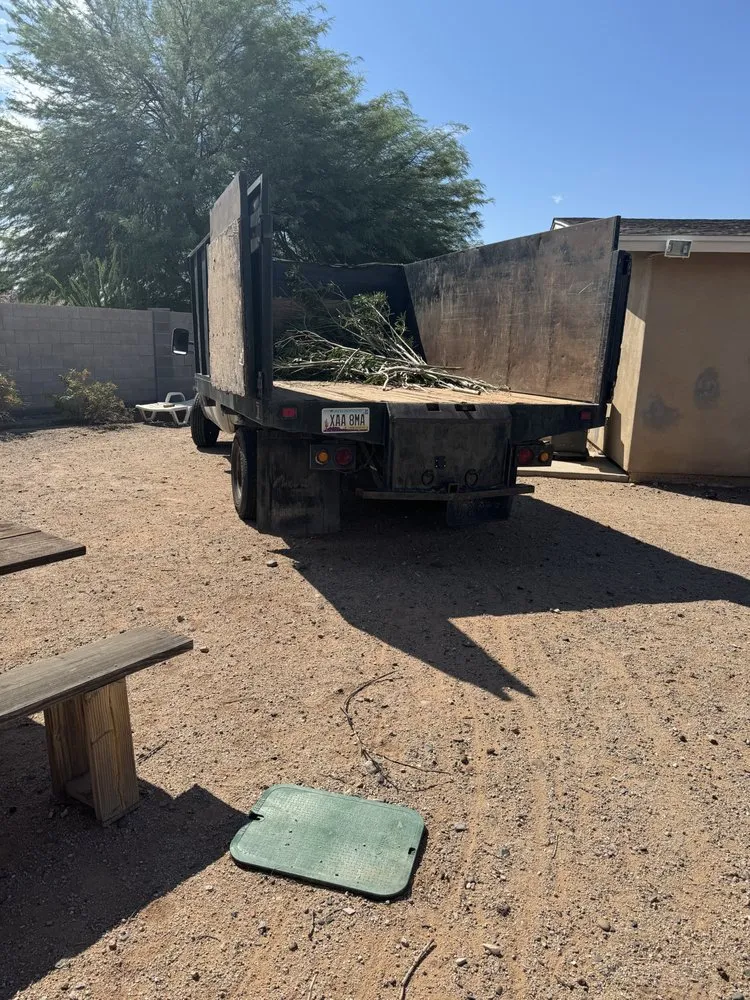 Affordable landscape design in Mesa, AZ by Pros Hardscape & Tree Sod