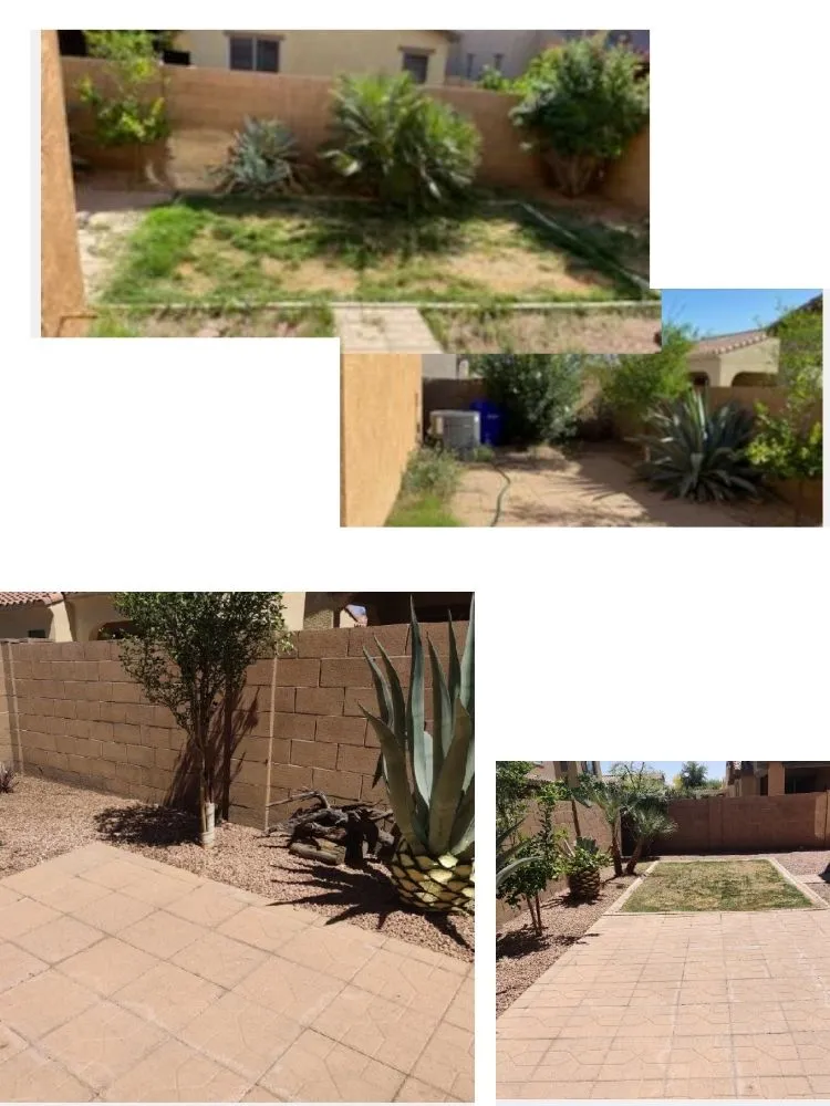 Local landscape design in Mesa, AZ by Pros Hardscape & Tree Sod
