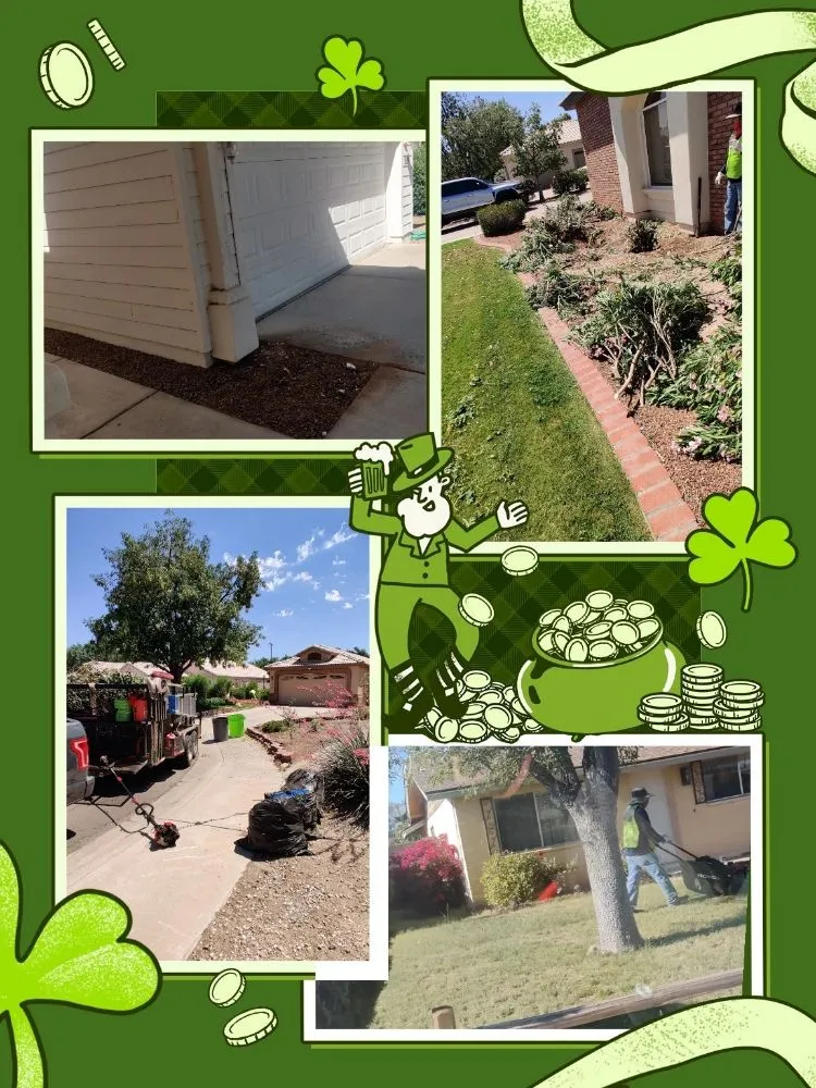 Reliable yard cleanup service in Mesa, AZ - Pros Hardscape & Tree Sod