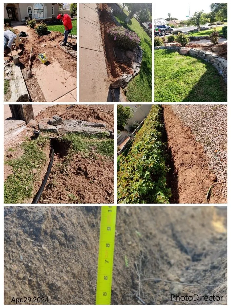 Affordable landscape installation in Mesa, AZ by Pros Hardscape & Tree Sod