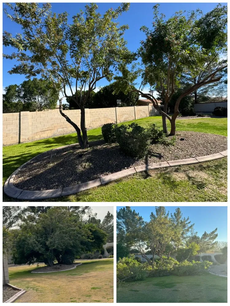 Professional outdoor landscaping in Mesa, AZ - Pros Hardscape & Tree Sod