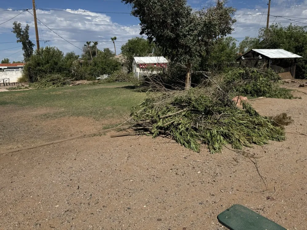 Custom lawn mowing service for outdoor upgrades in Mesa, AZ by Pros Hardscape & Tree Sod