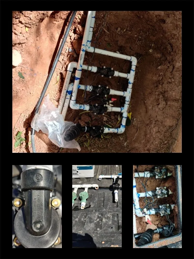 Affordable lawn mowing service in Mesa, AZ - Pros Hardscape & Tree Sod