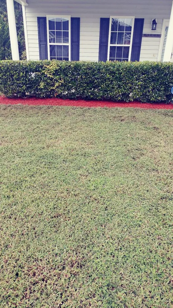 Trusted yard cleanup service near you across Raleigh, NC - Pros Landscaping