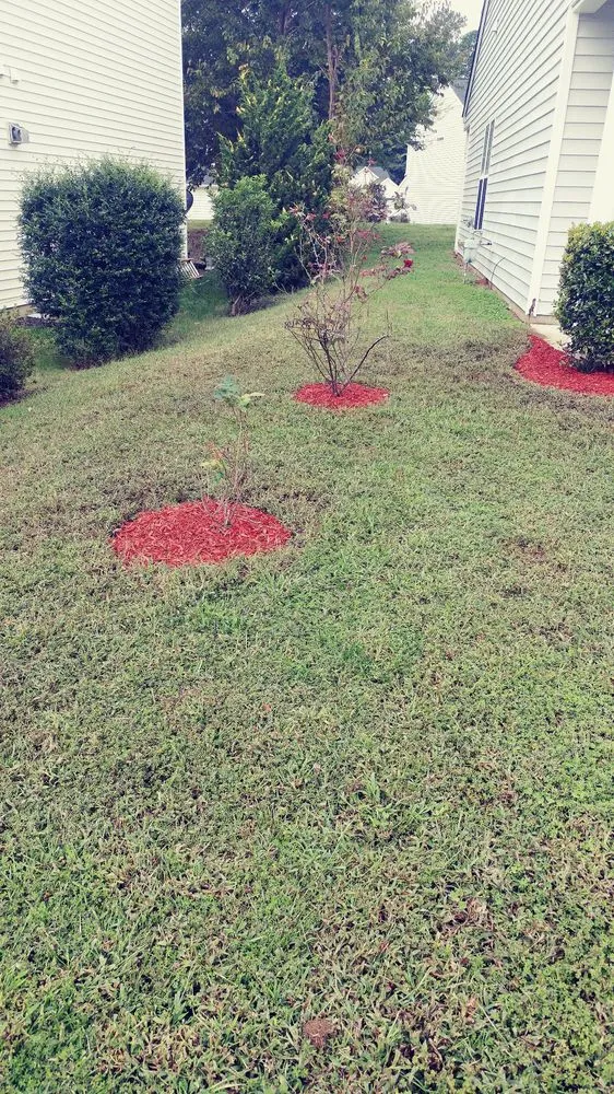 Top-rated residential landscaping in Raleigh, NC by Pros Landscaping