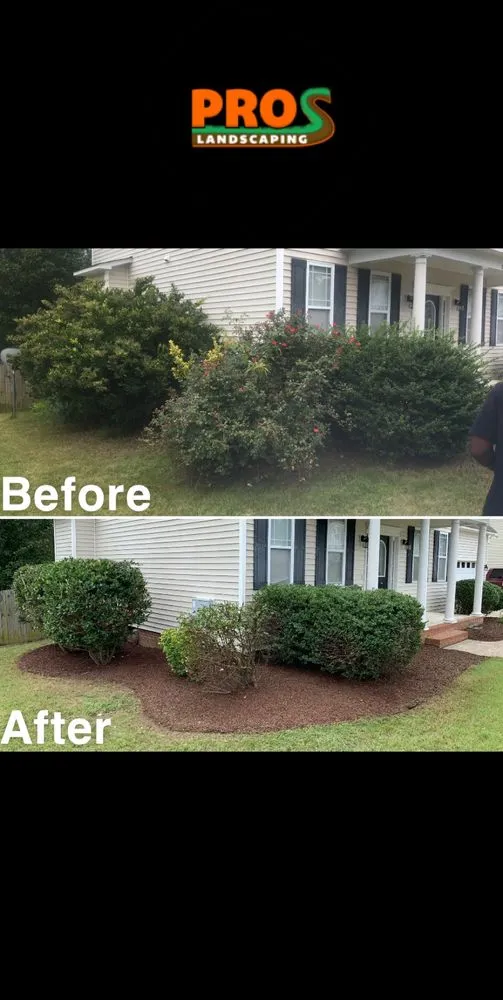 Custom outdoor landscaping in Raleigh, NC by Pros Landscaping