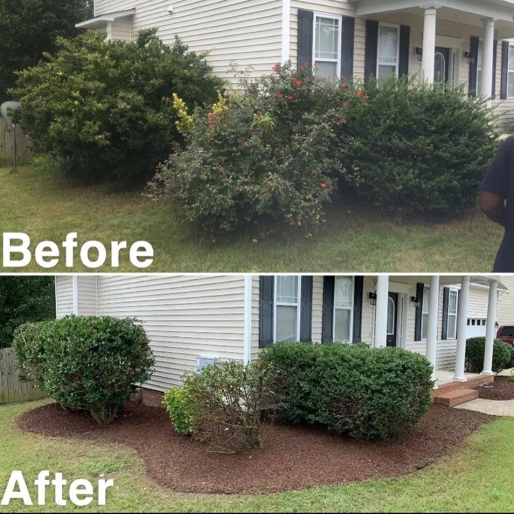 Top-rated outdoor landscaping in Raleigh, NC by Pros Landscaping