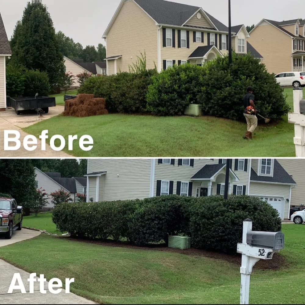 Expert garden landscaping for beautiful yards in Raleigh, NC by Pros Landscaping