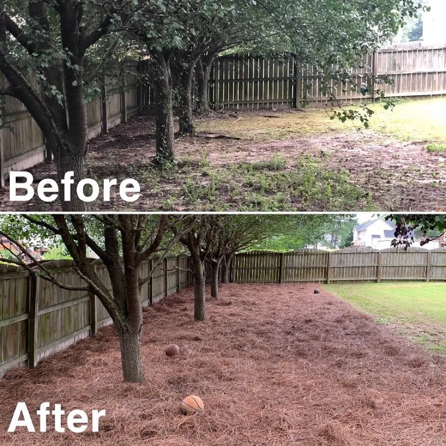 Affordable yard cleanup service for residential properties across Raleigh, NC - Pros Landscaping