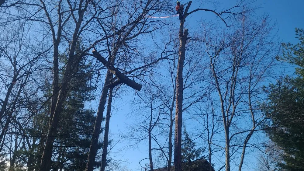 Custom garden landscaping in New Albany, OH by Pros Mulch & Tree Service