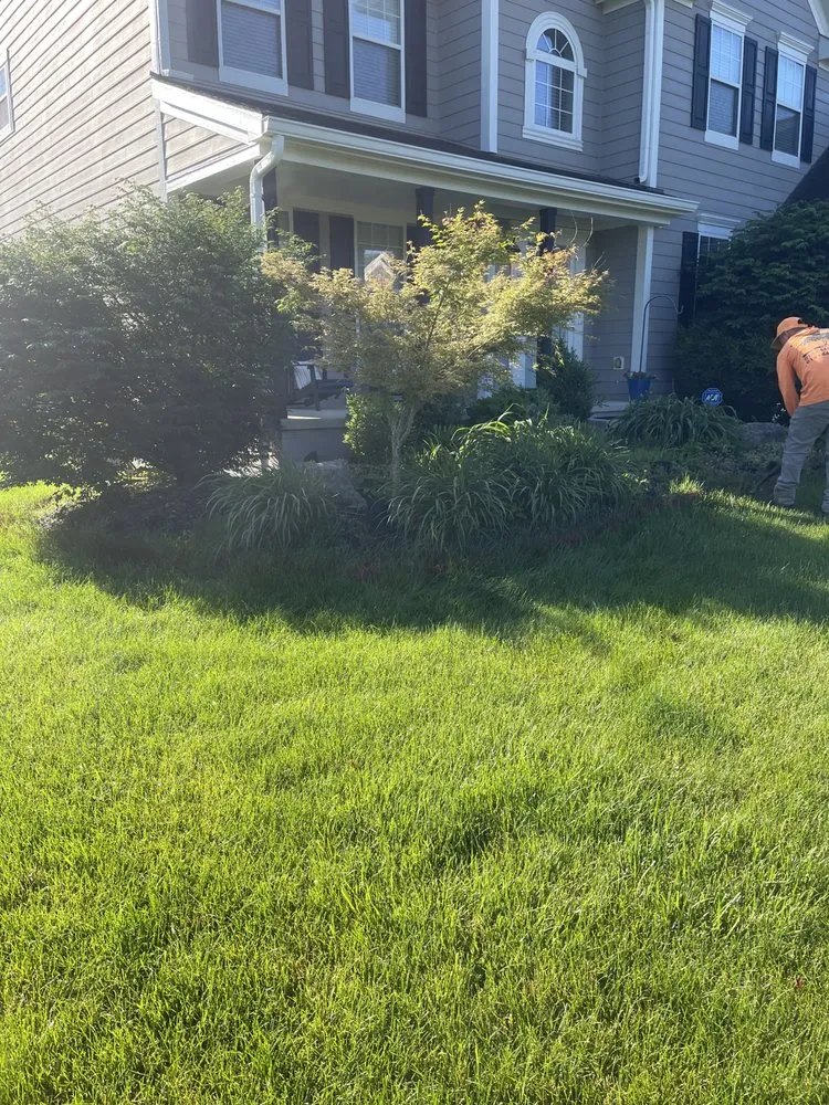 Top-rated yard cleanup service for year-round maintenance across New Albany, OH - Pros Mulch & Tree Service