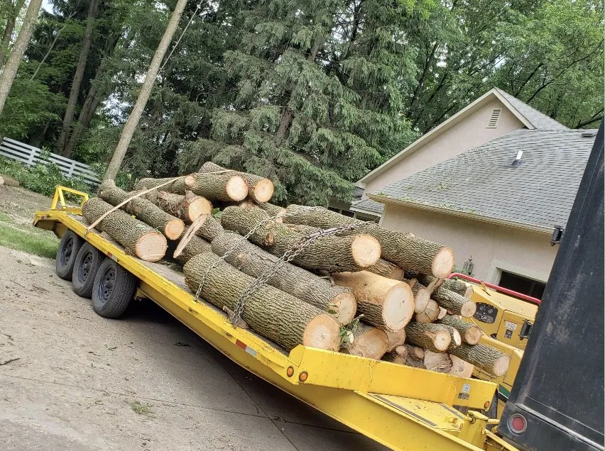 Top-rated lawn mowing service for year-round maintenance in New Albany, OH by Pros Mulch & Tree Service