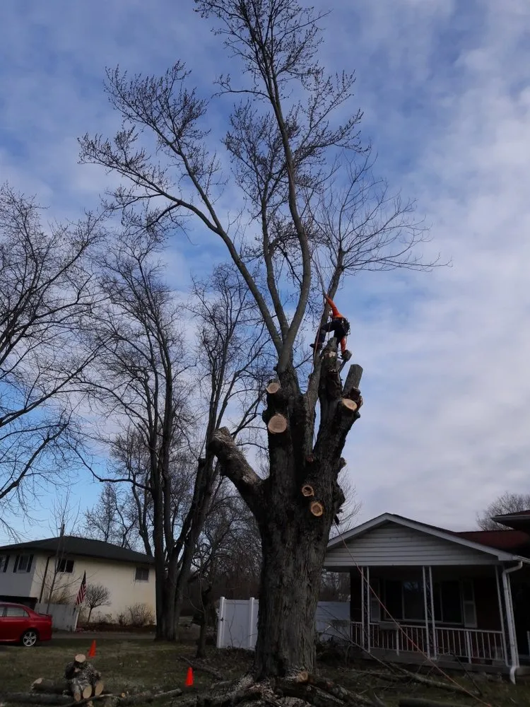 Local yard cleanup service for beautiful yards in New Albany, OH by Pros Mulch & Tree Service