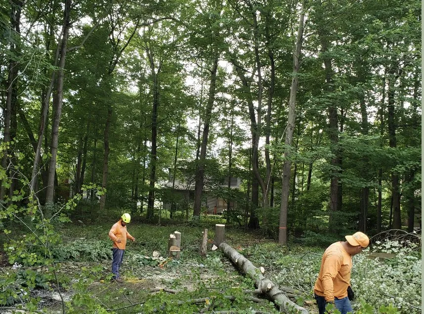 Top-rated outdoor landscaping in New Albany, OH - Pros Mulch & Tree Service