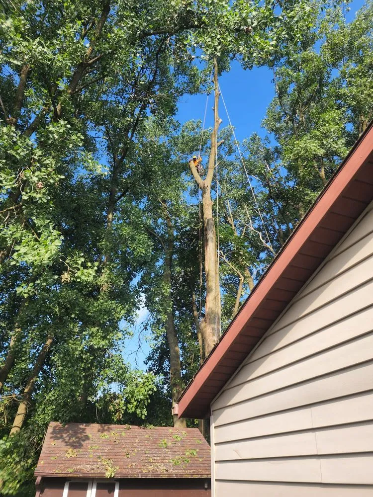 Top-rated residential landscaping for outdoor upgrades in New Albany, OH by Pros Mulch & Tree Service