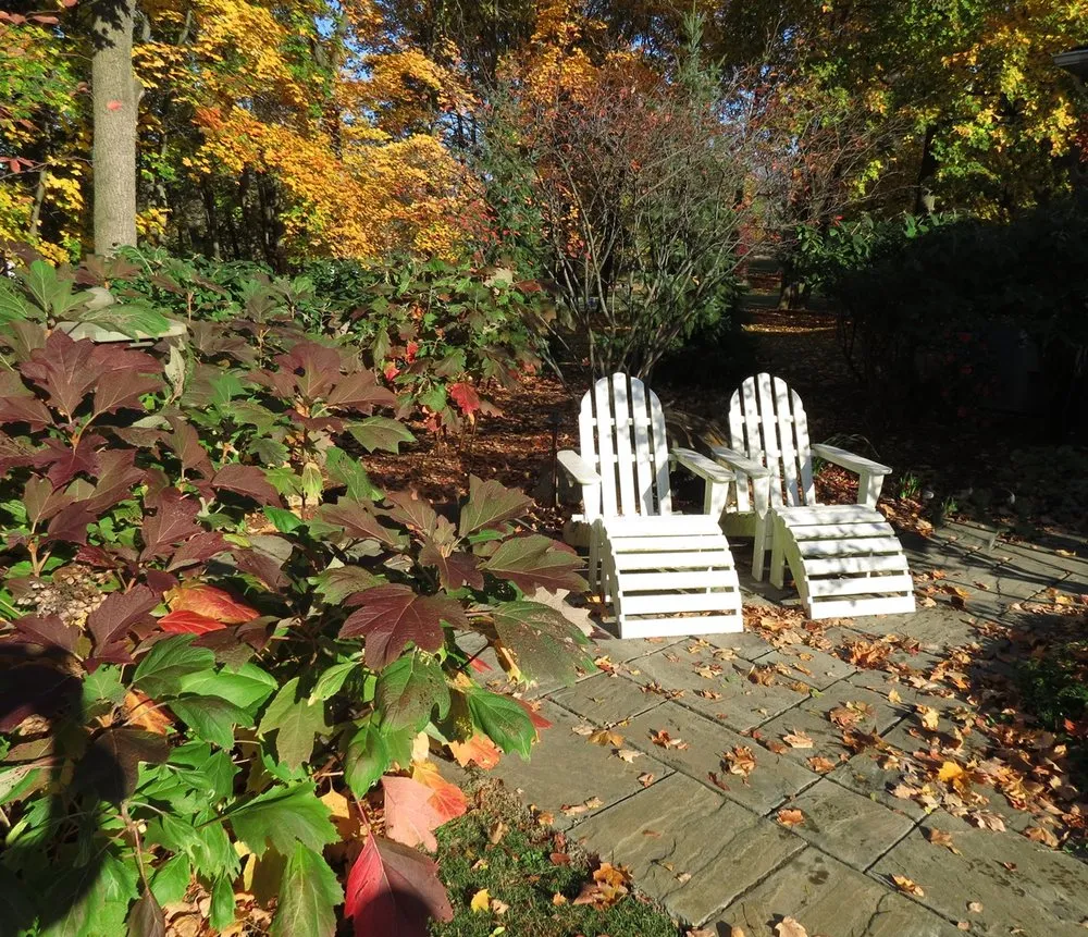 Local yard cleanup service with custom design in Commerce, MI by Proscape