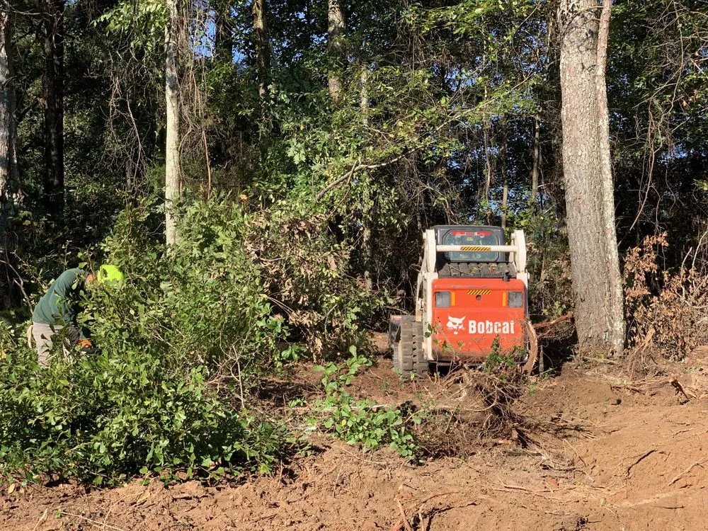 Custom outdoor landscaping for outdoor upgrades in Lawrenceville, GA by ProScape Grading Excavation And Clearing Service