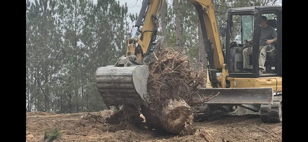 Top-rated outdoor landscaping experts serving Lawrenceville, GA - ProScape Grading Excavation And Clearing Service