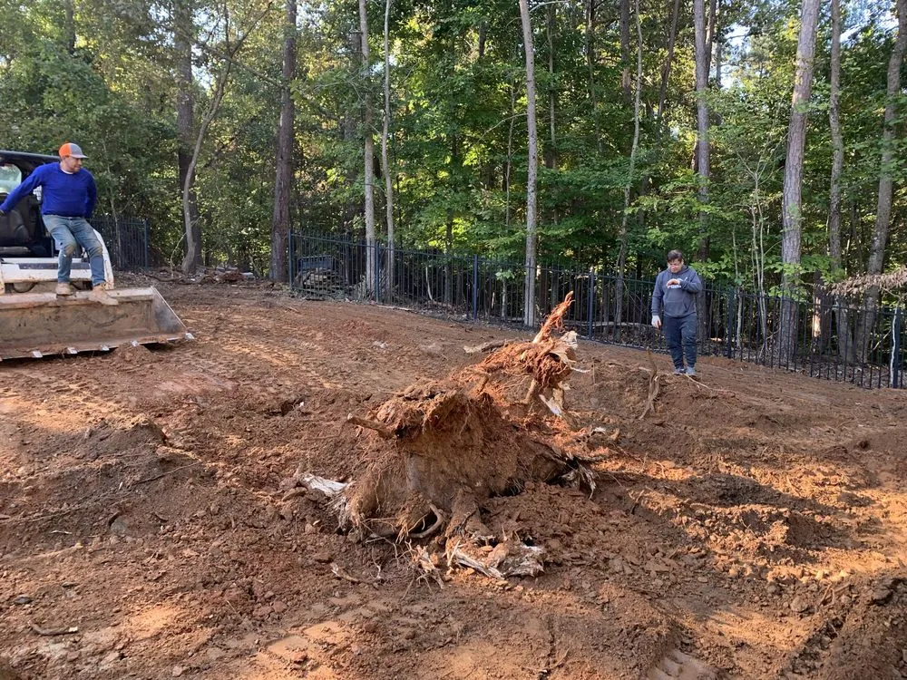 Affordable garden landscaping in Lawrenceville, GA - ProScape Grading Excavation And Clearing Service