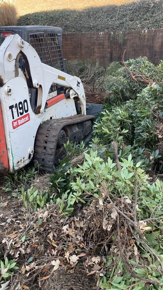 Top-rated yard cleanup service in Lawrenceville, GA - ProScape Grading Excavation And Clearing Service