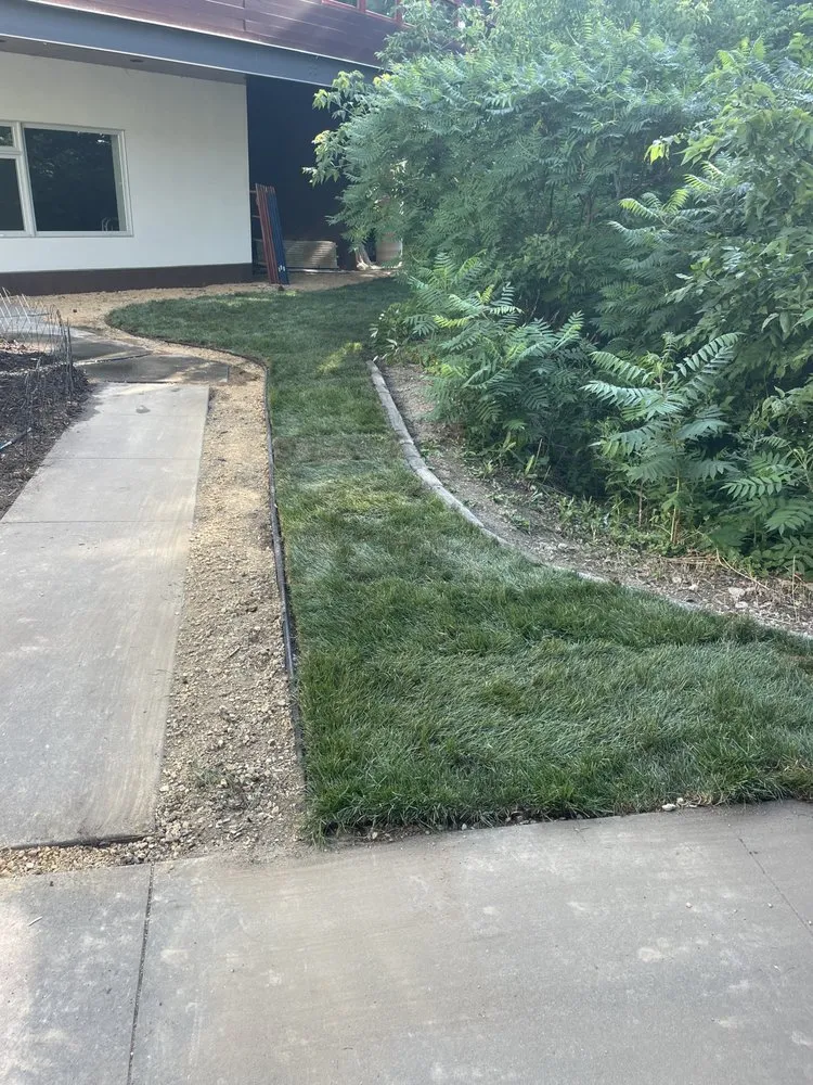 Trusted landscape design for outdoor upgrades across Independence, MN - ProScape