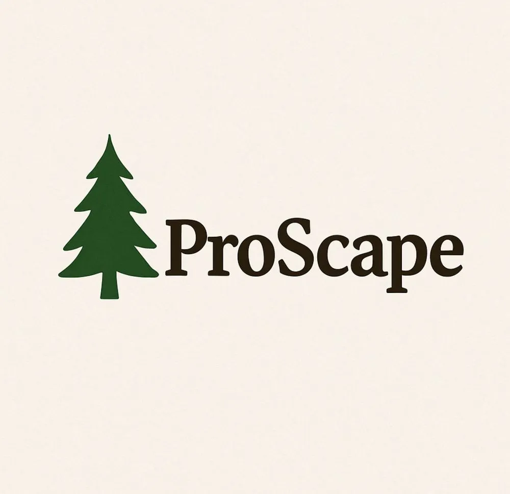 Trusted yard cleanup service in Independence, MN by ProScape