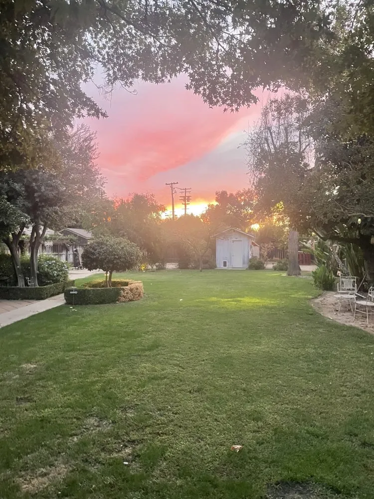 Local yard maintenance experts serving Fresno, CA - ProScape Landscape Installation and Maintenance