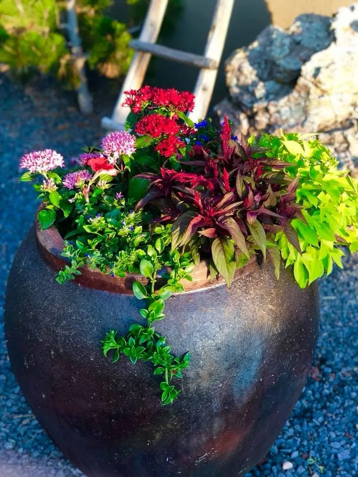 Expert outdoor landscaping for residential properties in Santa Fe, NM by Proscape Landscape Management