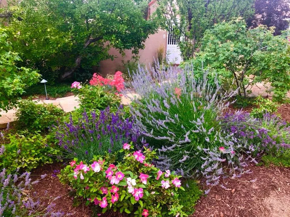 Reliable landscape design in Santa Fe, NM - Proscape Landscape Management